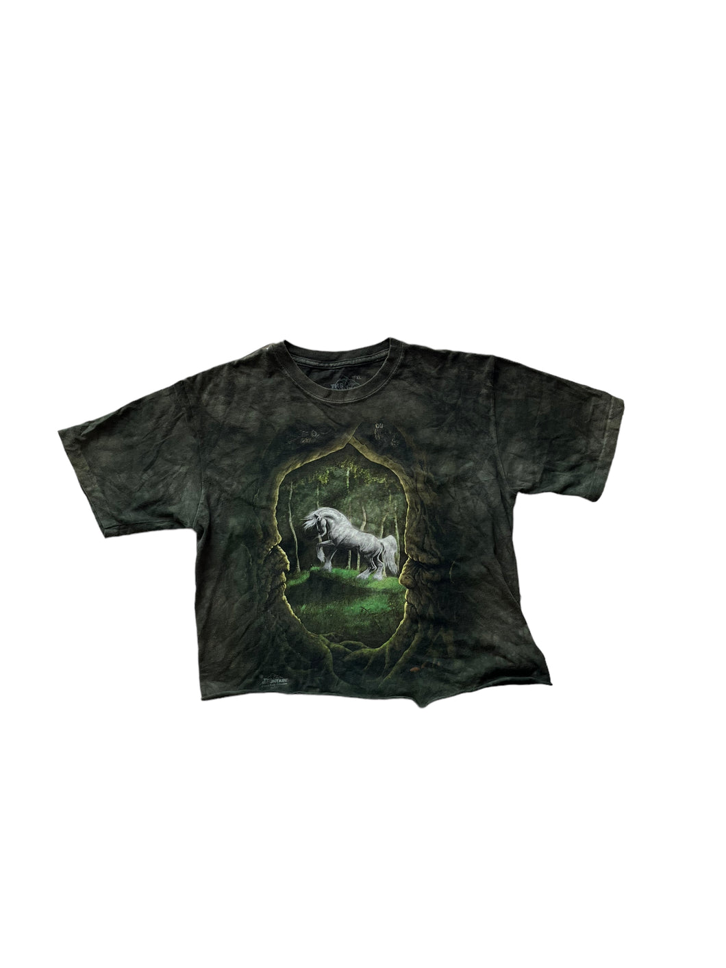 Authentic “The Mountain” est.2013 graphic tee